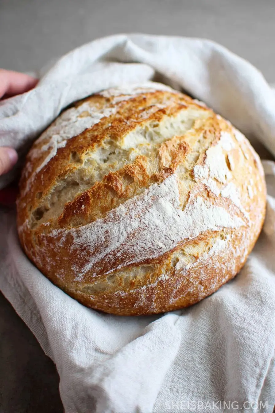 3 Ingredient Artisan Bread