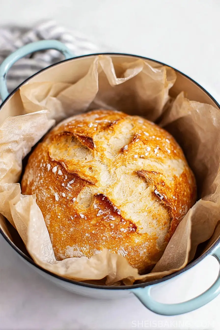 Easy Dutch Oven No Knead Bread